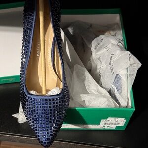 Lauren Lorraine Elegant Blue Shoes